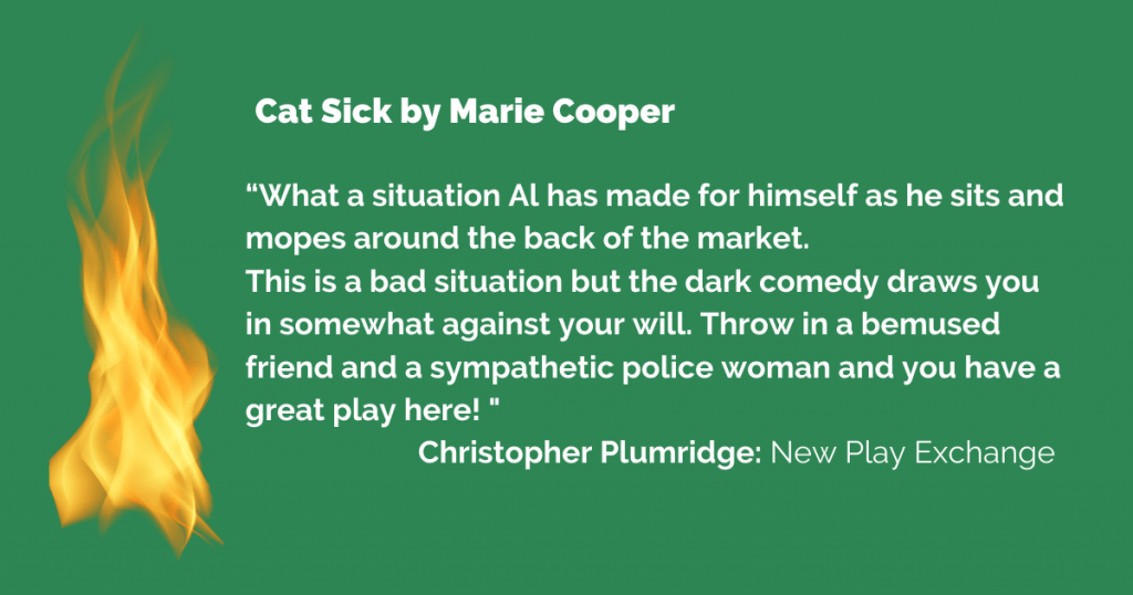 A flame beside a text review of Cat Sick. A short play by Norfolk writer Marie Cooper