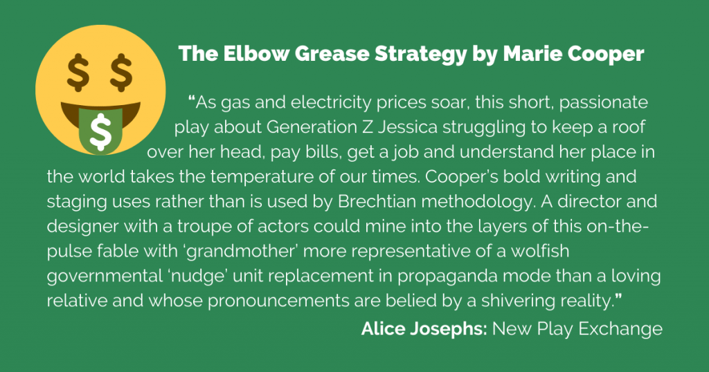 A quote box featuring a review of The Elbow Grease Strategy
